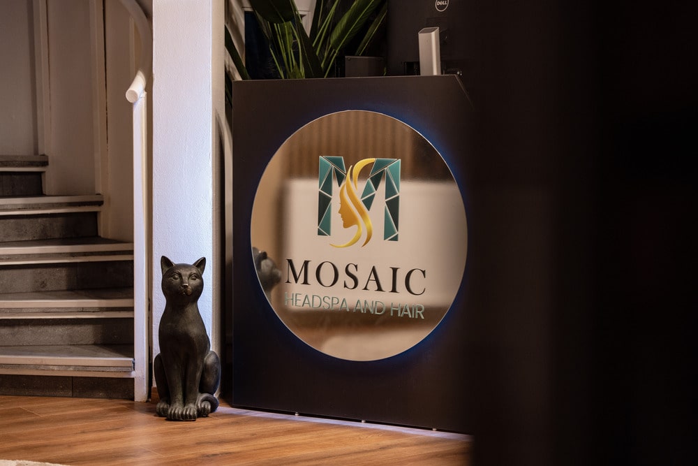 A bejárat a MOSAIC emblémával és a macska-szoborral